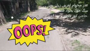 Read more about the article سخنان مهدی امیری در رابطه با سگ های ولگرد ایران Mehdi Amiri talks about stray dogs in Parks