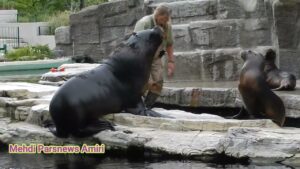 Read more about the article Tiergarten Schoenbrunn Vienna Austria قدیمی ترین باغ وحش دنیا در وین اتریش