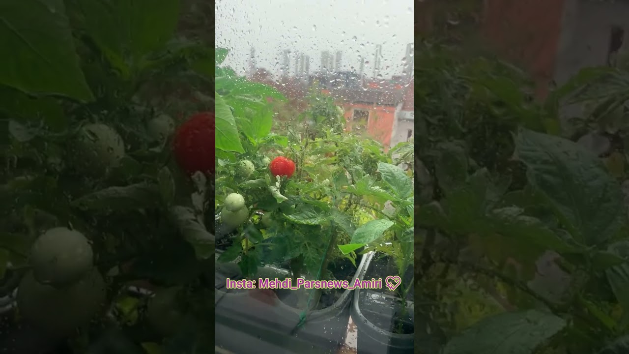 Read more about the article بارون چند روزه در وین و به پایان رسیدن تابستون😨Bad weather in Vienna