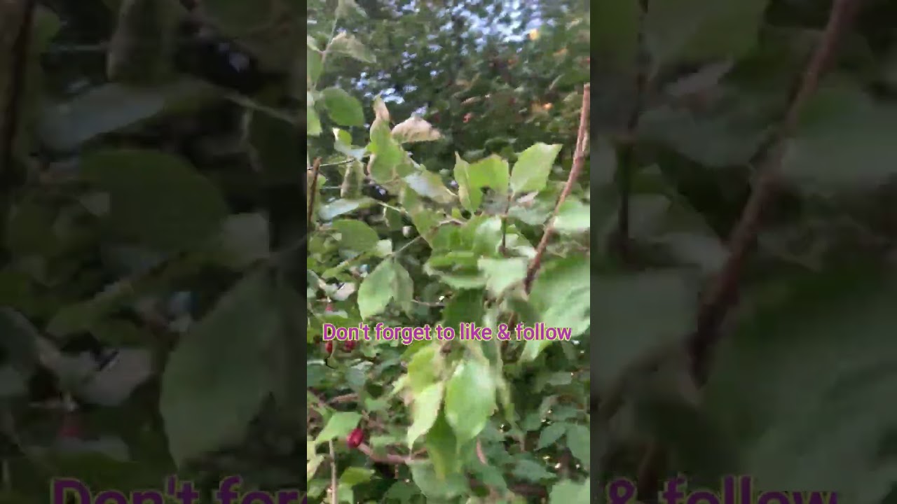 Read more about the article سلام من به تو یار قدیمی , منم همون هوادار قدیمی 😲😲😍