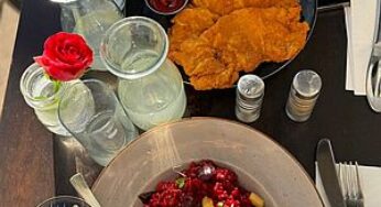 اینم از غذا های رستوران اتریشی 😲🙄