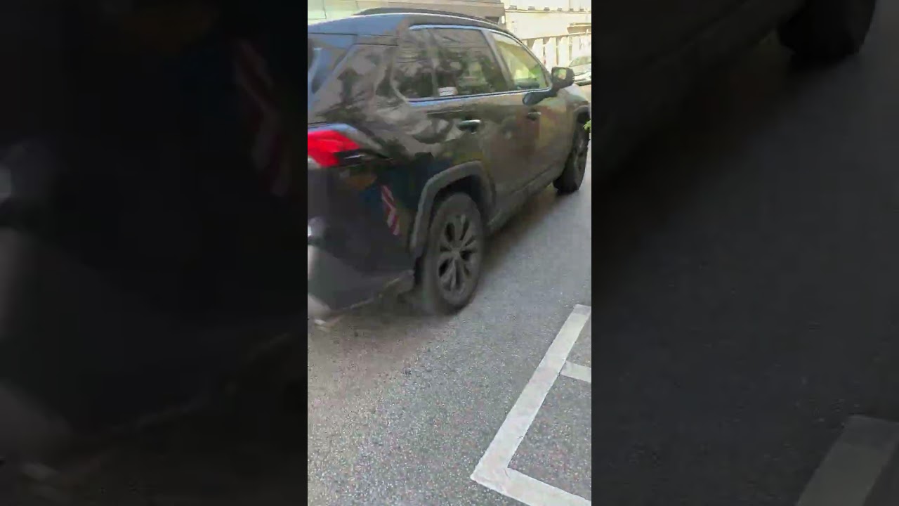 دربارۀ این مقاله بیشتر بخوانید باغک های خیابونی در وین ! 😨😱🤩😍