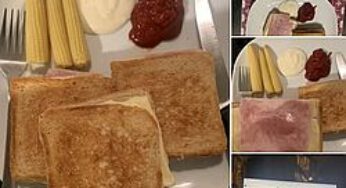 چه تست پنیر و ژامبون خوشمزه ای ! 🤩😍😎