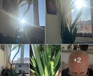 دربارۀ این مقاله بیشتر بخوانید کسی نیست بگه تو به گلدونه چیکار داشتی؟! 😲😨🙄