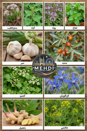 دربارۀ این مقاله بیشتر بخوانید داروخانه کوچک خانگی: ۱۰ گیاه حیاتی که زندگی شما را تغییر می‌دهند😨😱😍🙏