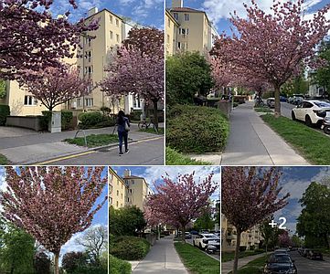 دربارۀ این مقاله بیشتر بخوانید از ایفل و اورست تا سوراخ‌سنبه‌های محله, ما چطوری معتاد دوربین شدیم؟