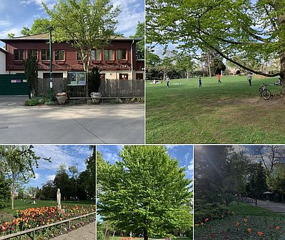 دربارۀ این مقاله بیشتر بخوانید لذت نشستن زیر آفتاب بهاری