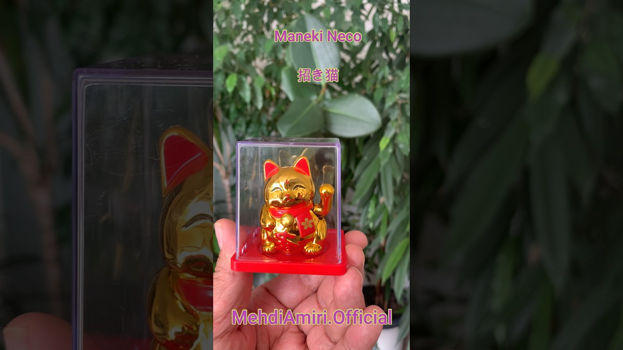 دربارۀ این مقاله بیشتر بخوانید اصلا فکر نمیکردم ژاپنی باشه! 🐱✨Maneki Neco
