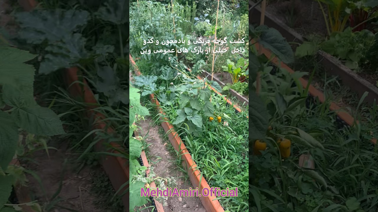 دربارۀ این مقاله بیشتر بخوانید کاشتِ میوه و سبزیجات وسطِ پارک‌های وین! 🍅🌱